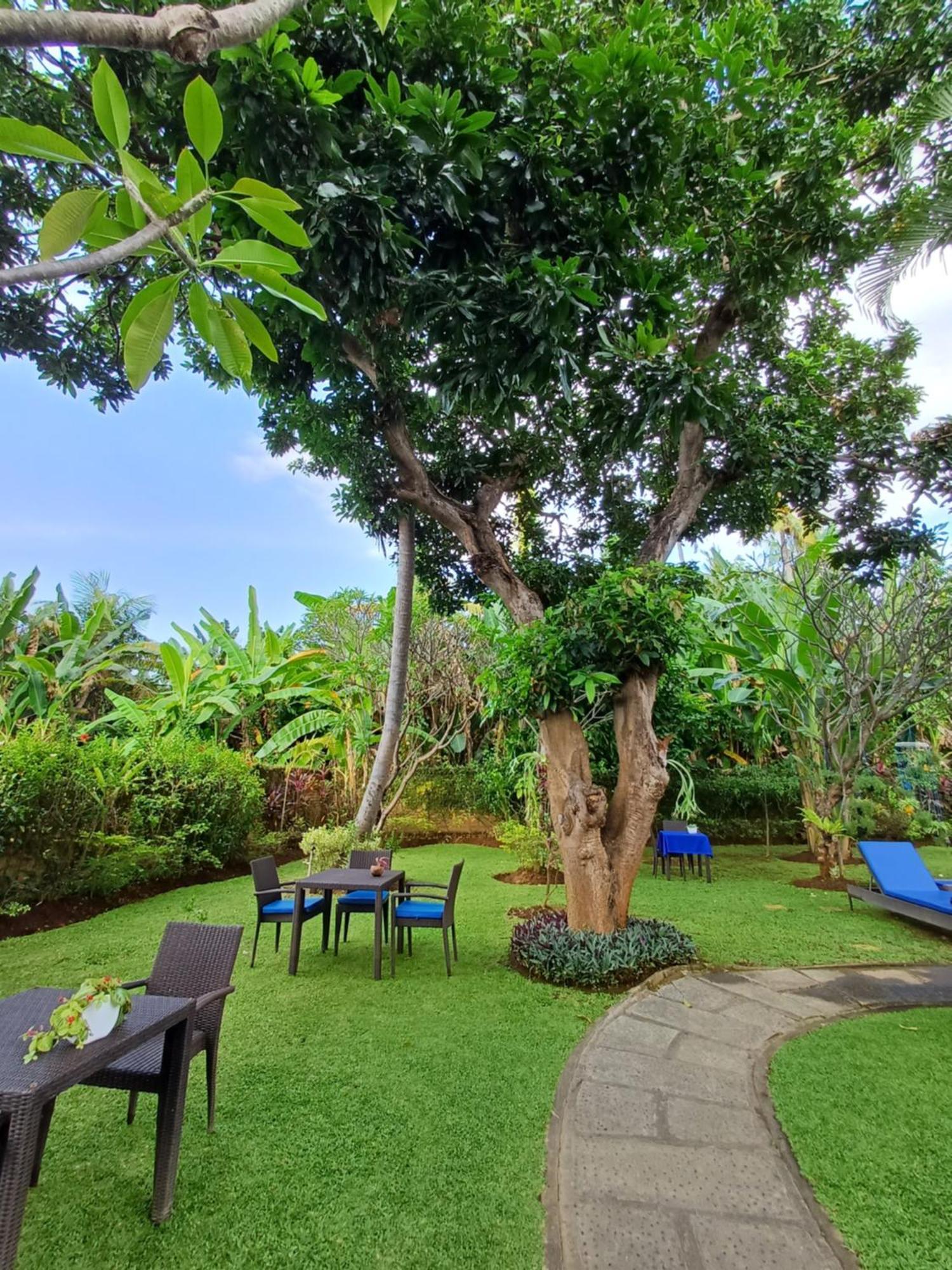 Balinda Rooms & Villa Lovina Beach Chambre photo