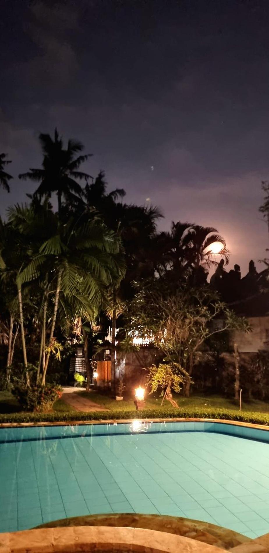 Balinda Rooms & Villa Lovina Beach Chambre photo