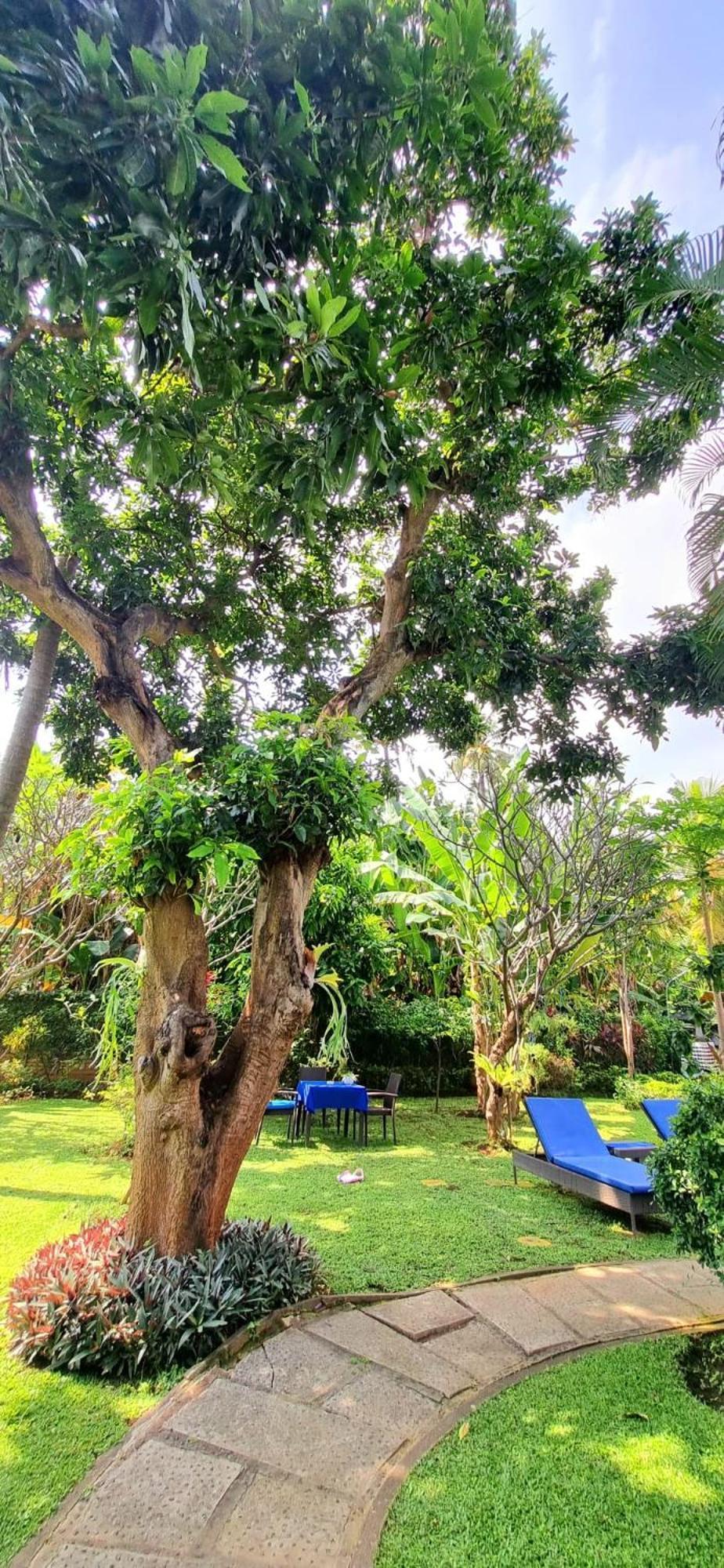 Balinda Rooms & Villa Lovina Beach Chambre photo