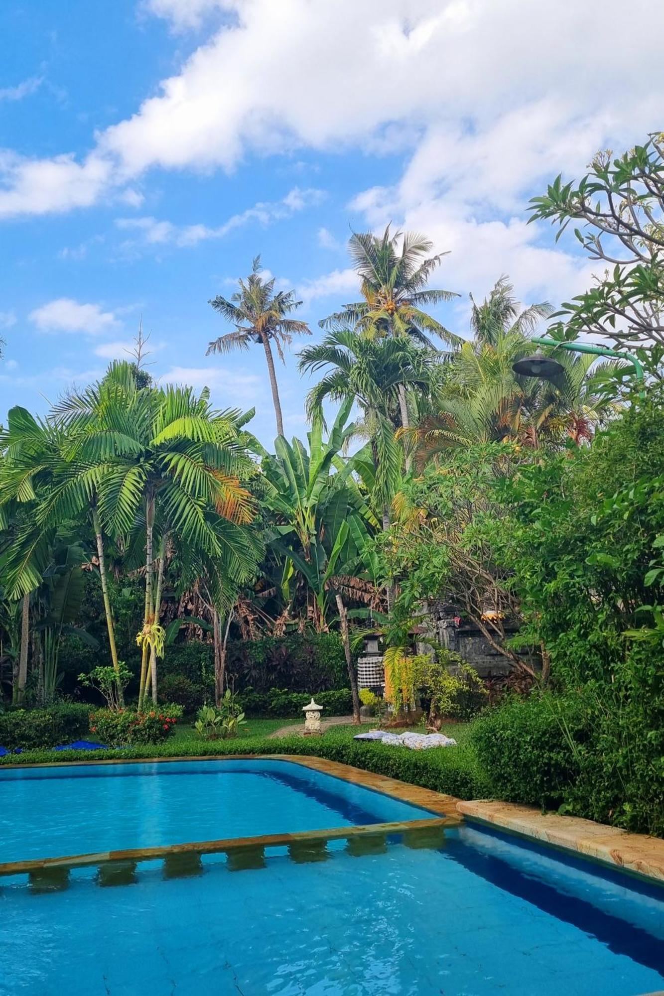 Balinda Rooms & Villa Lovina Beach Chambre photo